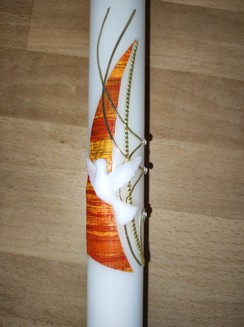 TK 11